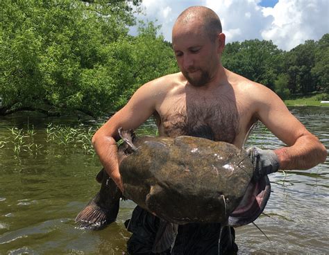 Noodling is concentrated in the rural American South and Midwest, where catfish are plentiful and tradition is strong. Noodling -- also known as handfishing, hogging, tickling, grabbling or stumping -- is legal in only 13 states, up from just four in …